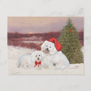 Bichon Frise Christmas Feiertagspostkarte