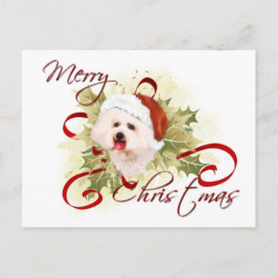 Bichon Frise Christmas Postkarten