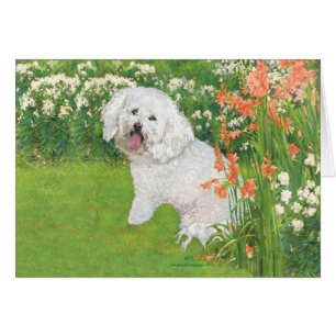 Bichon Frise Coral Fantasy