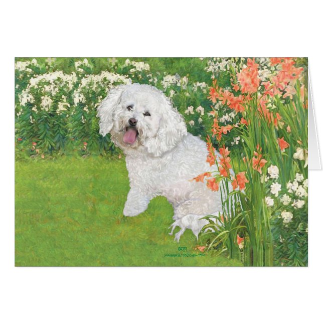 Bichon Frise Coral Fantasy (Vorderseite (Horizontal))