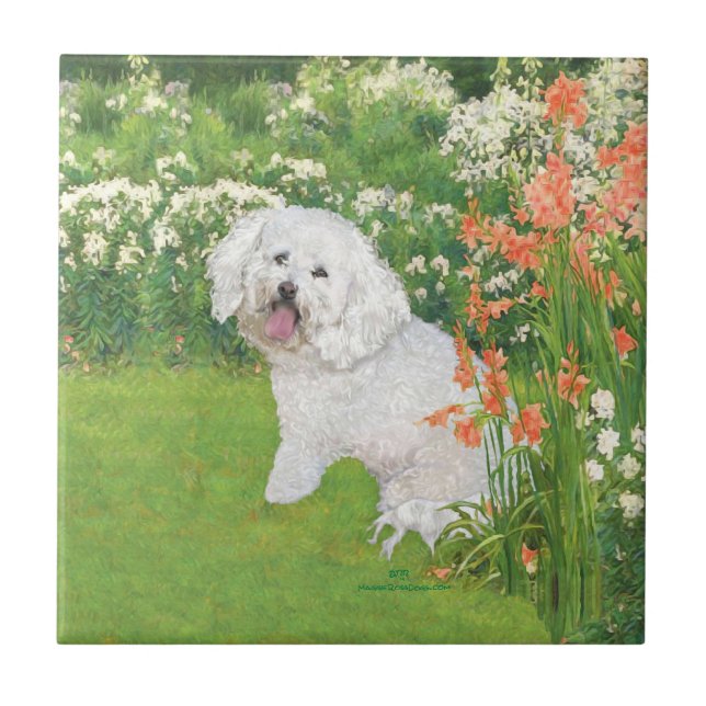 Bichon Frise Coral Fantasy Fliese (Vorderseite)