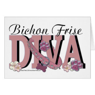 Bichon Frise DIVA