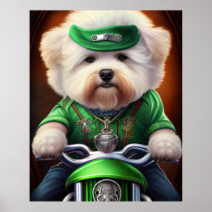 Bichon Frisé Dog Fahrrad St. Patrick's Day Poster