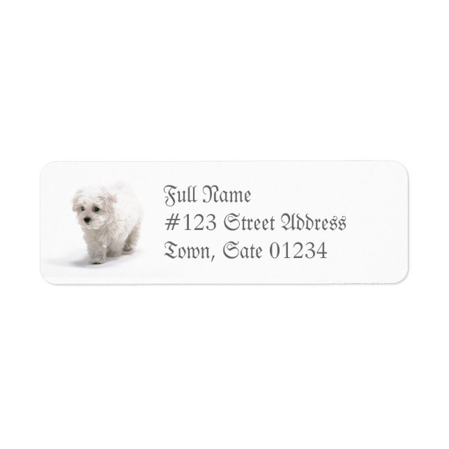 Bichon Frise Dog Mailing Label (Vorne)