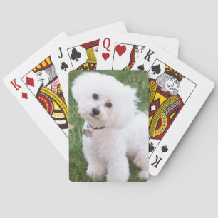Bichon Frise Dog Playing Cards Spielkarten