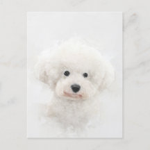 Bichon Frise Dog Portrait