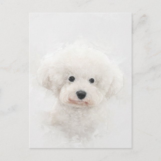Bichon Frise Dog Portrait Postkarte (Vorderseite)
