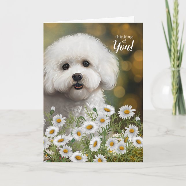 Bichon Frise Dog Thinking of You Daisies Karte (Vorderseite)