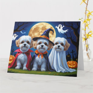 Bichon Frise Dogs Pumpkin Halloween Funny Karte