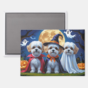 Bichon Frise Dogs Pumpkin Halloween Funny Magnet