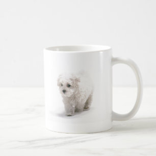 Bichon Frise Foto-Kaffee-Tasse Tasse
