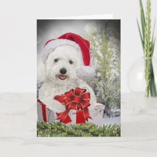Bichon Frise frohe Weihnachten