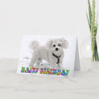 Bichon Frise Geburtstagskarte