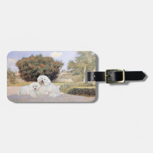Bichon Frisé Gepäckanhänger