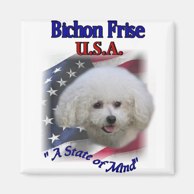 Bichon Frise Geschenke Magnet (Vorne)