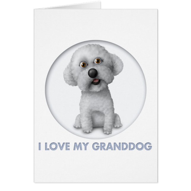 Bichon Frise Granddog (Vorne)