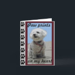 Bichon Frise Gruß-Karte Karte<br><div class="desc">Diese Karte gehört zu den vielen anderen Bichon Tatzendrucken</div>
