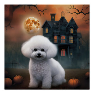Bichon Frise Halloween Beängstigend Poster