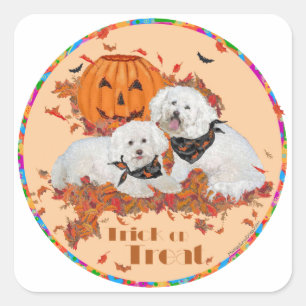 Bichon Frise Halloween Quadratischer Aufkleber
