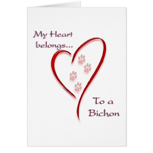 Bichon Frise Heart Belongs (Vorne)