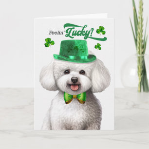 Bichon Frise Hund fühlt sich am St. Patrick's Day Feiertagskarte