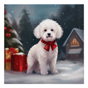Bichon Frise Hund im Schnee Weihnachten Poster