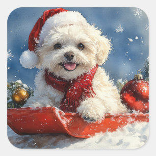 Bichon Frise Hund in Sledge Let it Schnee Weihnach Quadratischer Aufkleber