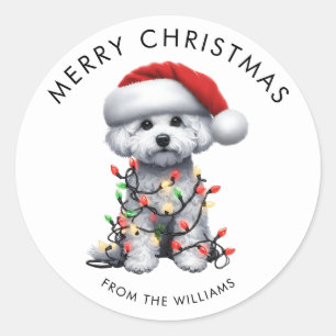 Bichon Frise Hund in Weihnachtslichtern gewickelt Runder Aufkleber