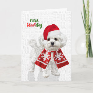 Bichon Frise Hund Lustige Flöhe Navidog Weihnachte Feiertagskarte