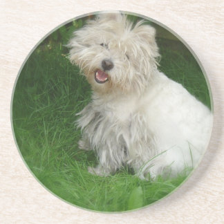 Bichon Frise HundeUntersetzer Getränkeuntersetzer