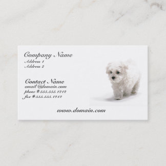 Bichon Frise HundeVisitenkarte Visitenkarte