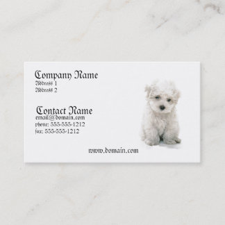 Bichon Frise HundeVisitenkarte Visitenkarte