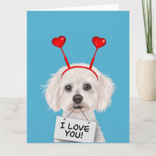 Bichon Frise "Ich liebe Dich" Valentinstag Karte