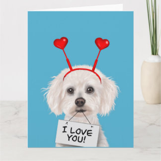 Bichon Frise "Ich liebe Dich" Valentinstag Karte