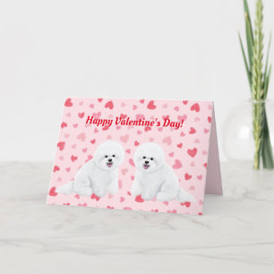 Bichon Frise Illustriert Valentine's Day Card Feiertagskarte
