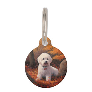 Bichon Frise im Herbstlaub Fall Inspire Haustiermarke