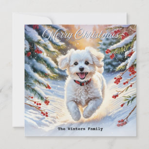 Bichon Frise im Schnee Süßer Hund Winter Weihnacht Feiertagskarte