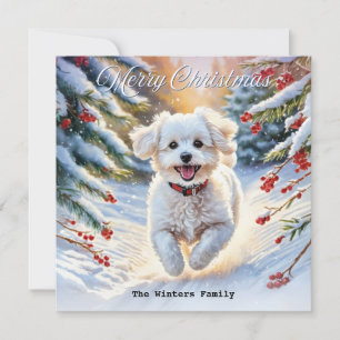 Bichon Frise im Schnee Süßer Hund Winter Weihnacht Feiertagskarte