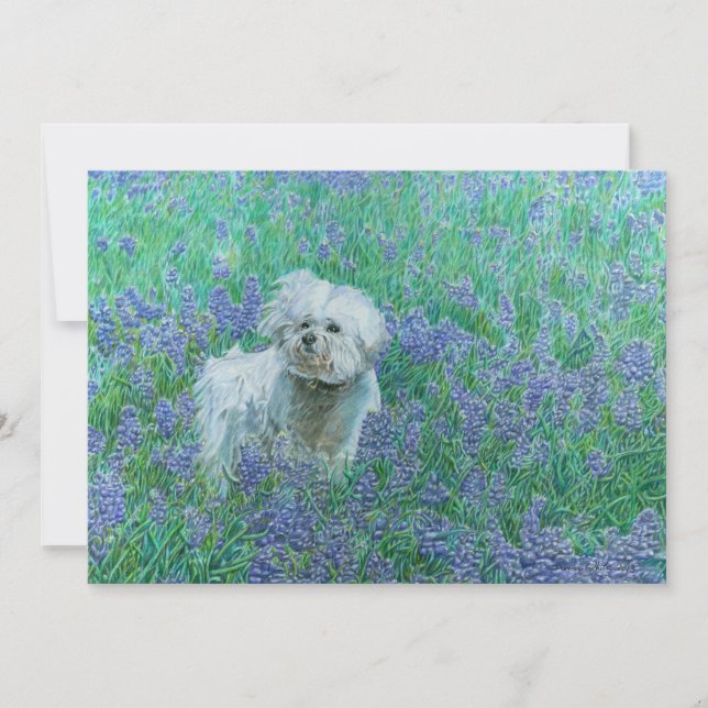 Bichon Frise in Bluebonnets Dankeskarte (Vorderseite)