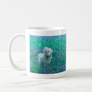 Bichon Frise in Bluebonnets Kaffeetasse