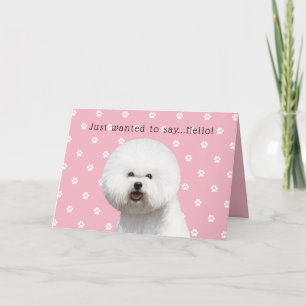 Bichon Frise Karte