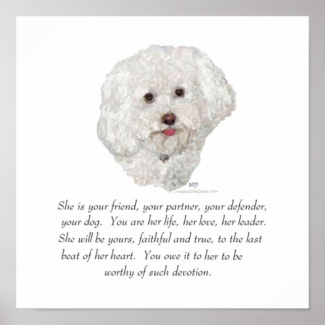 Bichon Frise Keepake FEMALE Poster (Vorne)