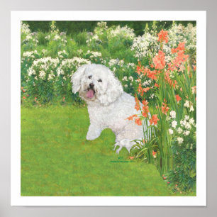 Bichon Frise Korallen-Fantasie Poster