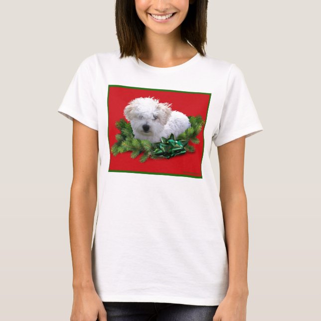 Bichon Frise Ladys Tom T-Shirt (Vorderseite)