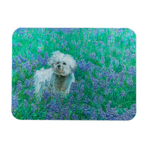 Bichon Frise Magnet
