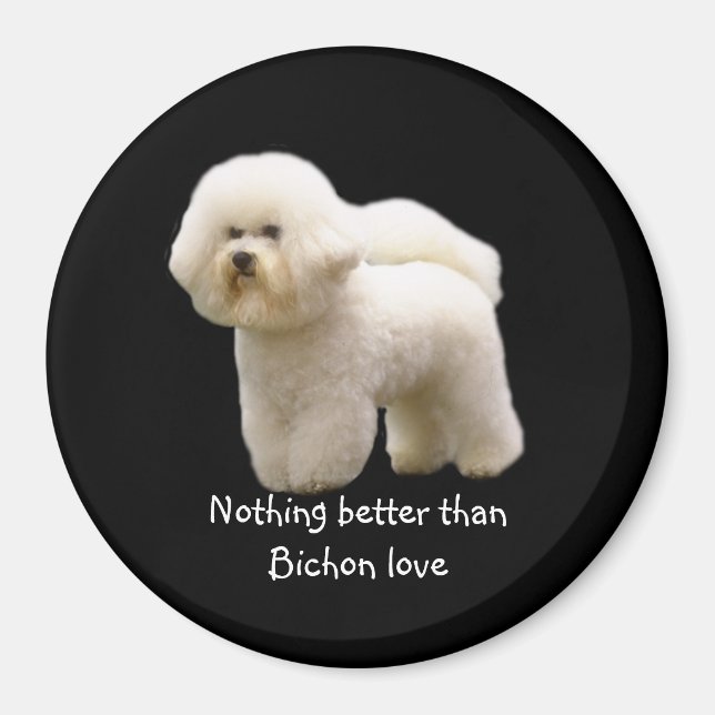 Bichon Frise Magnet (Vorne)