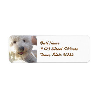 Bichon Frise-Mailing-Label