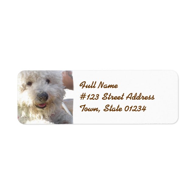 Bichon Frise-Mailing-Label (Vorne)