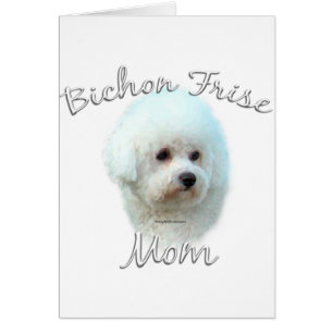 Bichon Frise Mama 2