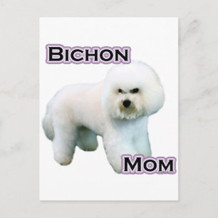 Bichon Frise Mama 4 Postkarte